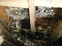 Carolina Crawlspace Solutions, Inc. Crawl Space Mold Removal