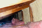 Comfenergy Crawl Space Mold Removal