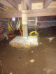 Crawlspace House Llc Crawl Space Mold Removal