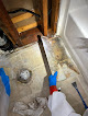 Divine Group Crawl Space Mold Removal