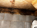 Foundation Doctor Crawl Space Mold Removal
