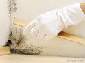 Hero Mold Company - Martinsville Crawl Space Mold Removal