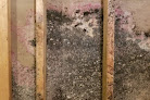 Hero Mold Company Crawl Space Mold Removal