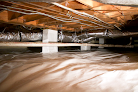 Home Shield Crawl Space Crawl Space Mold Removal