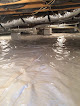 Intrastate Company (Isc) Crawl Space Mold Removal