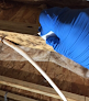 Lrc Indoor Testing & Research Crawl Space Mold Removal