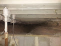 Mid Maryland Cleaning & Restoration Crawl Space Mold Removal