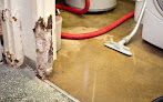 Puroclean Crawl Space Mold Removal
