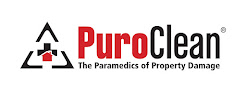 Puroclean Emergency Restoration Specialists Crawl Space Mold Removal