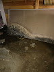 Servpro Of Burlington/Middlebury Crawl Space Mold Removal