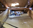 Servpro Of Winston Salem North Crawl Space Mold Removal