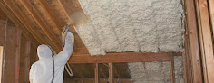 Spray Foam Professionals Llc Crawl Space Mold Removal