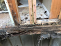 Top Dog Leak And Foundation Pros Crawl Space Mold Removal