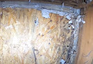 Va Beach Hero Mold Removal Crawl Space Mold Removal