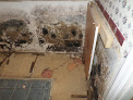 Virginia Restoration Experts Crawl Space Mold Removal